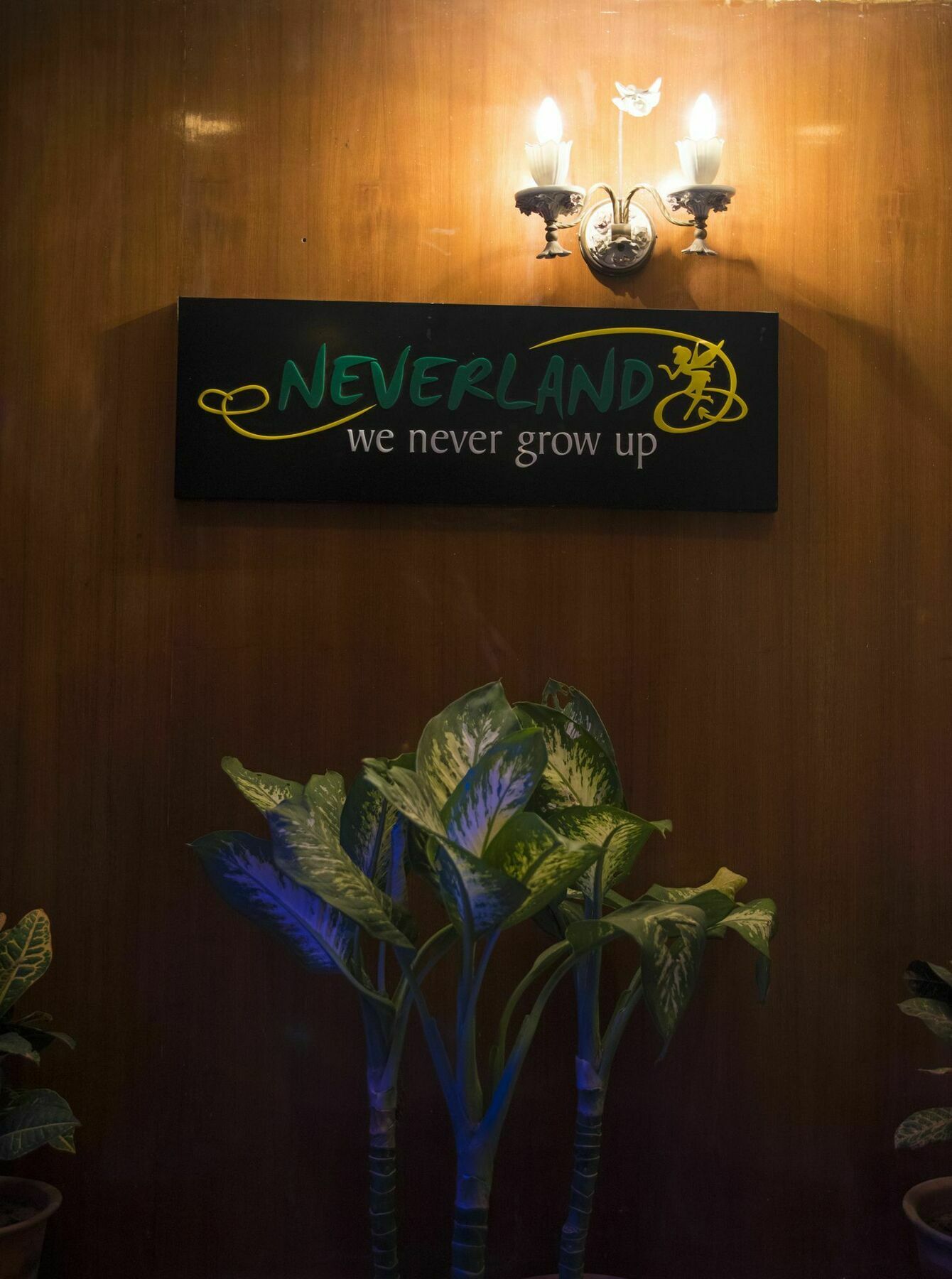 Neverland Hostel Джайпур Екстериор снимка